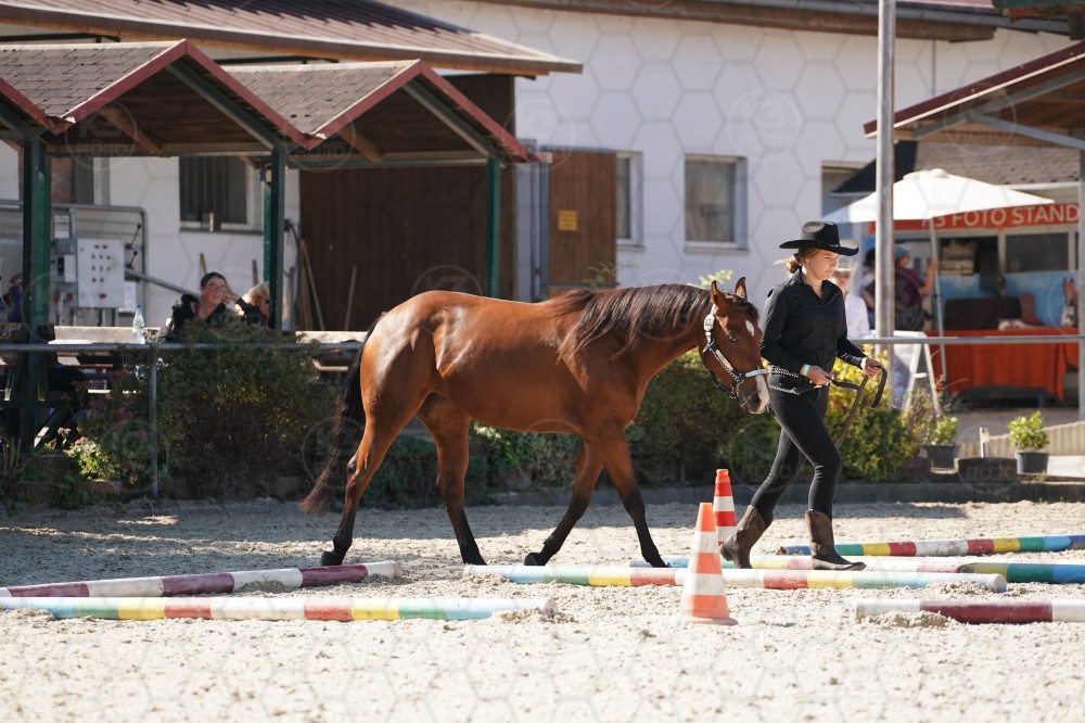 s_A_907551.JPG